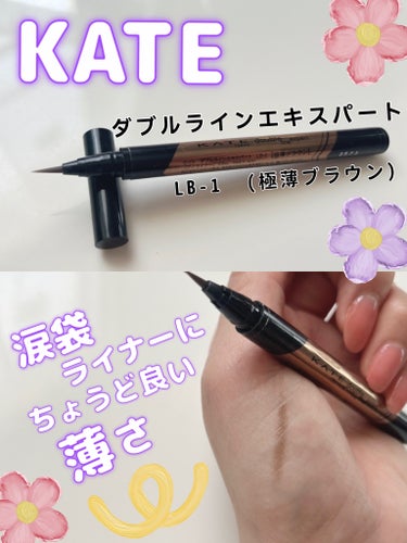 ダブルラインエキスパート LB-1 自然にみせる極薄ブラウン/KATE/リキッドアイライナーを使ったクチコミ（1枚目）