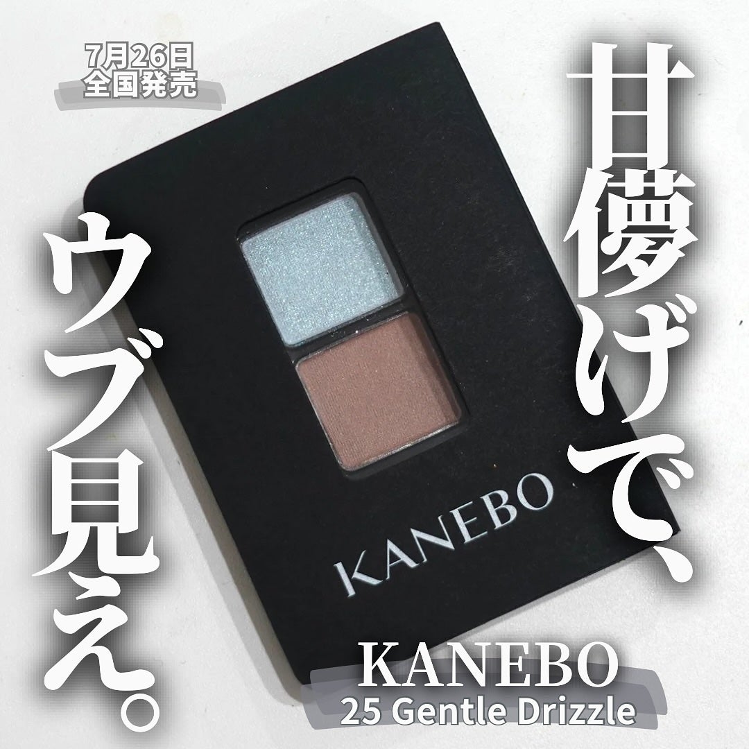 カネボウ アイカラーデュオ/KANEBO/アイシャドウパレットを使ったクチコミ(1枚目)