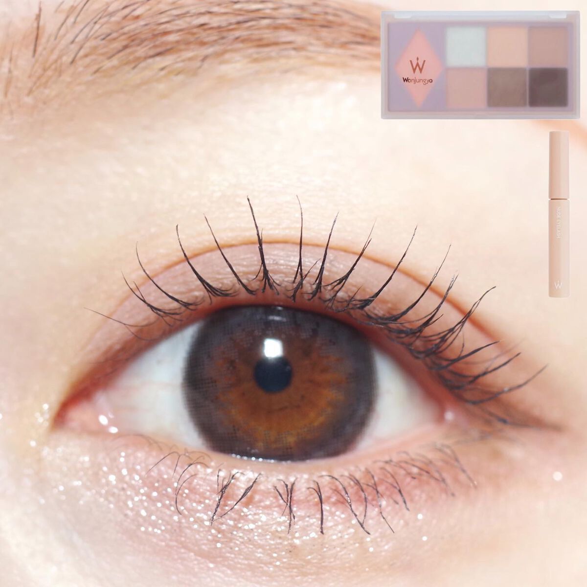 ウォンジョンヨ ヌードアイラッシュ/Wonjungyo/マスカラを使ったクチコミ（1枚目）