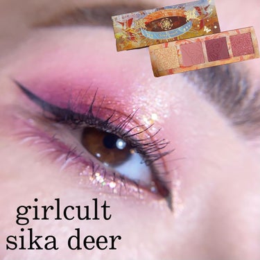 山海シリーズ 4色アイシャドウパレット 06 蝴蝶鹿 sika deer/GirlCult/アイシャドウパレットを使ったクチコミ（1枚目）