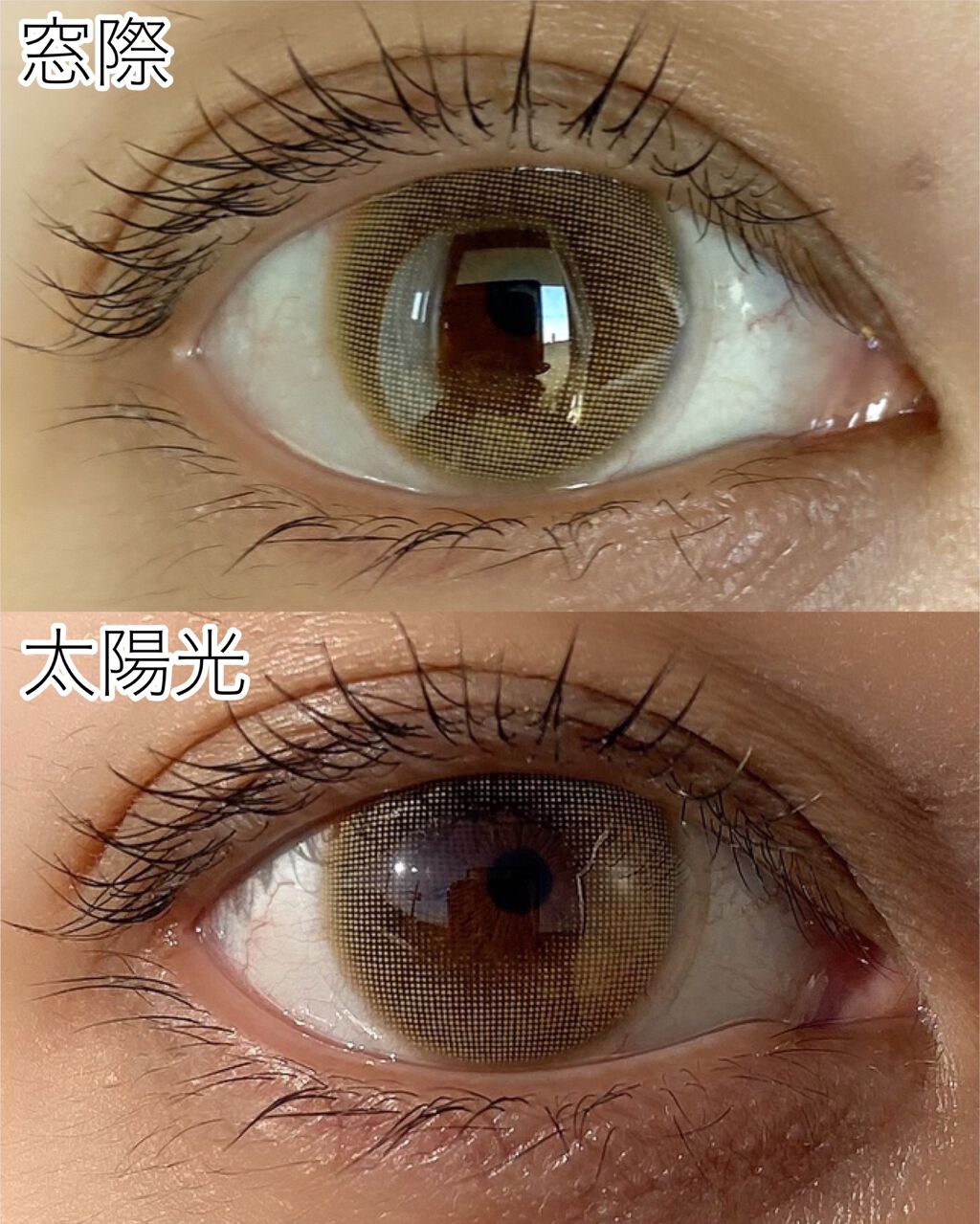 ロシアン 1Day ゴールド/OLENS/ワンデー（１DAY）カラコンを使ったクチコミ（3枚目）