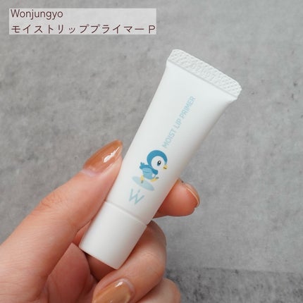 ウォンジョンヨ プロ パーフェクティングクッション ナチュラル 19Y ペールイエロー(P)/Wonjungyo/クッションファンデーションの画像