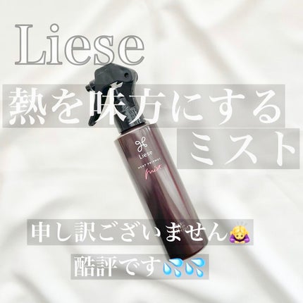 熱を味方にするミスト/リーゼ/ヘアミストを使ったクチコミ(1枚目)