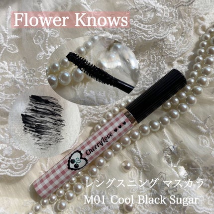 レトロマグネティック アイシャドウパレット/FlowerKnows/アイシャドウパレットを使ったクチコミ(10枚目)
