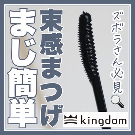 キングダム 束感ロングマスカラ/キングダム/マスカラを使ったクチコミ(1枚目)