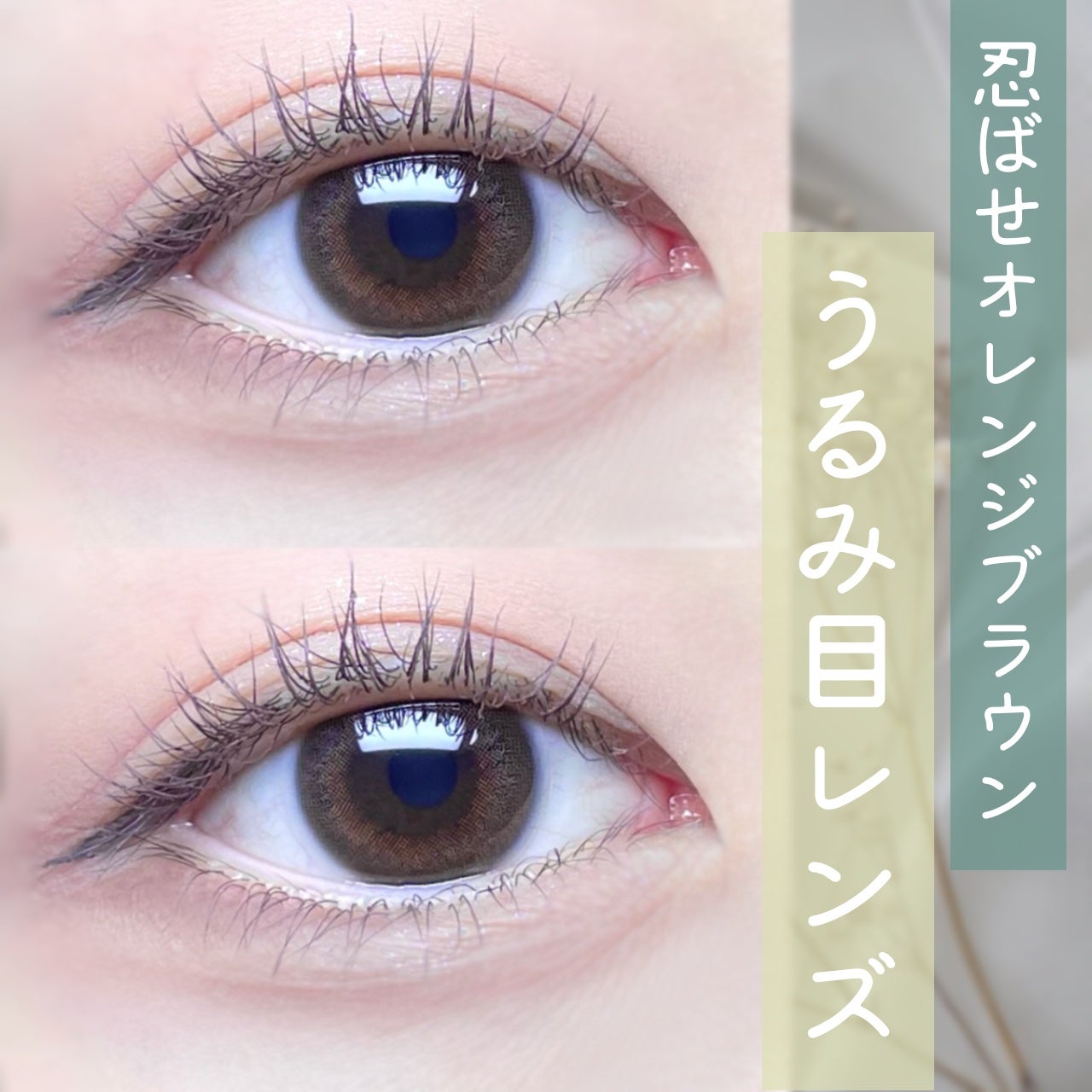 EYECICLE 1day/EYECICLE/カラーコンタクトレンズを使ったクチコミ(1枚目)