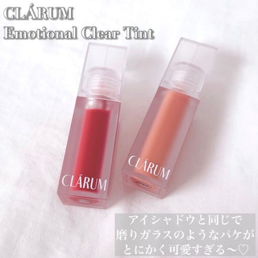 ファーストバードアイシャドウパレット/CLARUM/アイシャドウパレットを使ったクチコミ（6枚目）