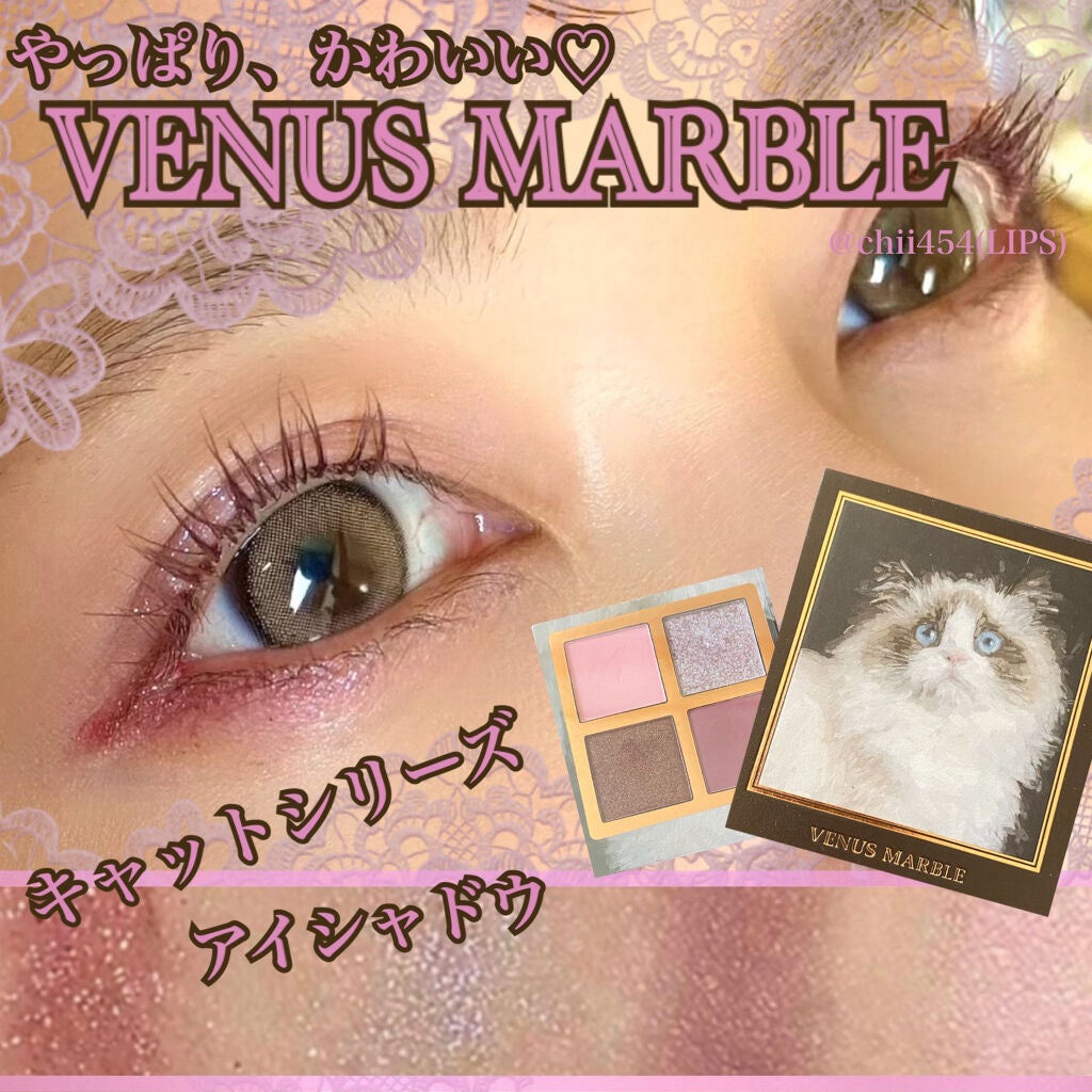 Venus Marble アイシャドウキャットシリーズ/Venus Marble/アイシャドウパレットを使ったクチコミ(1枚目)