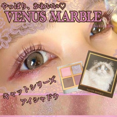 Venus Marble アイシャドウキャットシリーズ/Venus Marble/パウダーアイシャドウを使ったクチコミ（1枚目）