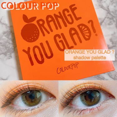 ORANGE YOU GLAD/ColourPop/パウダーアイシャドウを使ったクチコミ（1枚目）