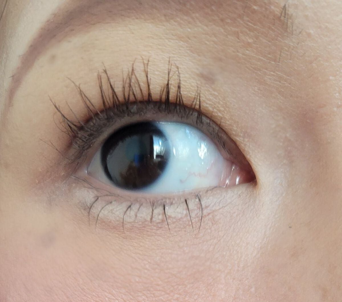 「塗るつけまつげ」自まつげ際立てタイプ/デジャヴュ/マスカラを使ったクチコミ(3枚目)