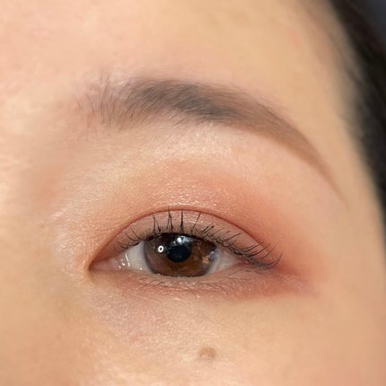 ツイン カラー アイシャドウ/ちふれ/アイシャドウパレットを使ったクチコミ(9枚目)