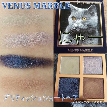 Venus Marble アイシャドウキャットシリーズ ブリティッシュショートヘア/Venus Marble/パウダーアイシャドウを使ったクチコミ（1枚目）