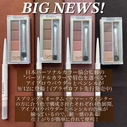 カラーエディットパウダーブロウ/excel/パウダーアイブロウを使ったクチコミ(2枚目)