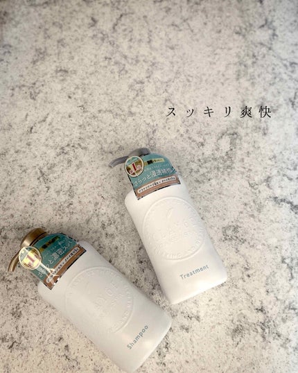 シャンプー/トリートメント SN さらさら/CLAYGE/シャンプー・コンディショナーを使ったクチコミ(1枚目)