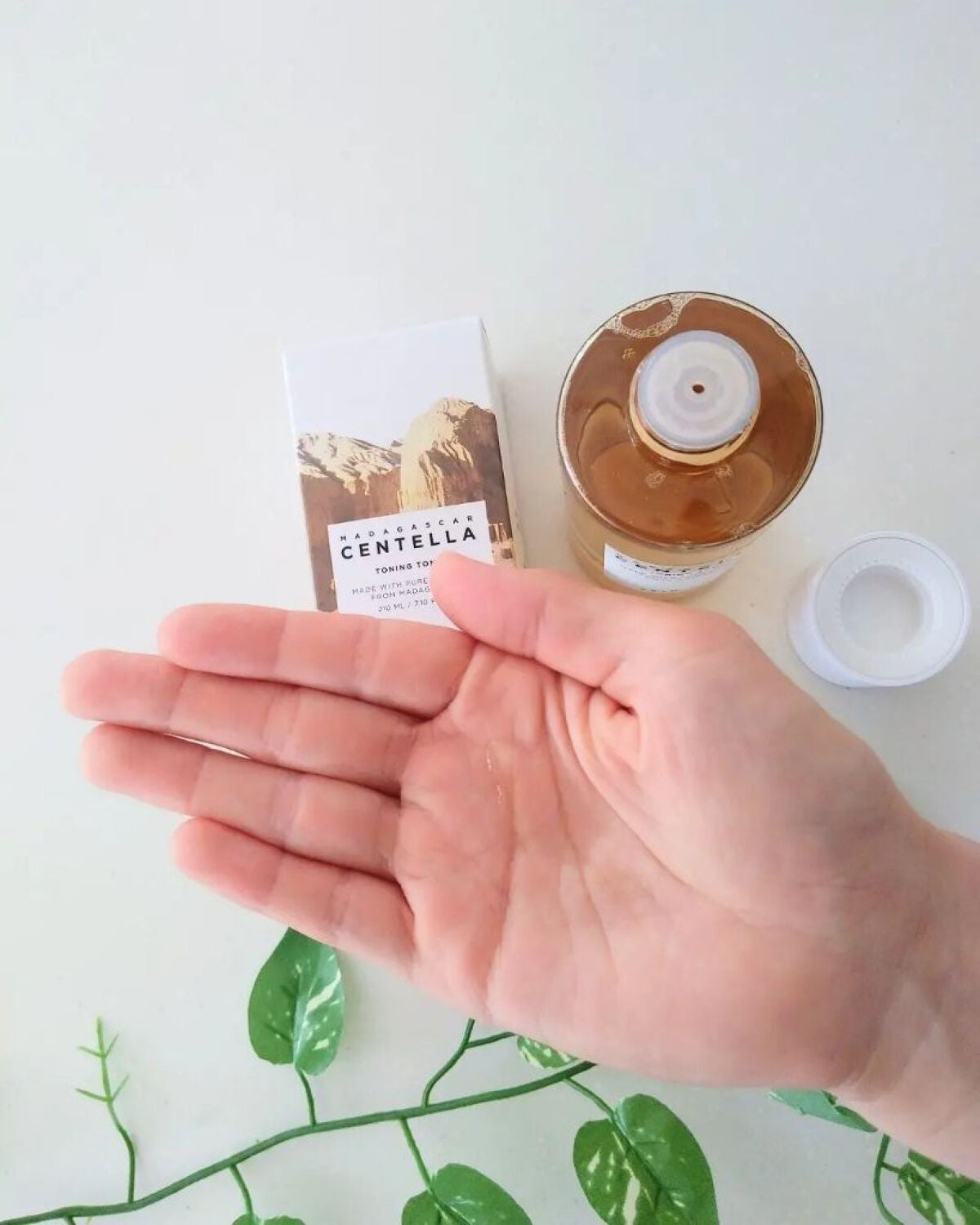 センテラ トーニングトナー/SKIN1004/化粧水を使ったクチコミ(4枚目)