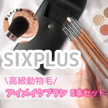 SIXPLUSアイメイクブラシ 5本セット高級動物毛 化粧ポーチ付き/SIXPLUS/メイクブラシを使ったクチコミ（1枚目）