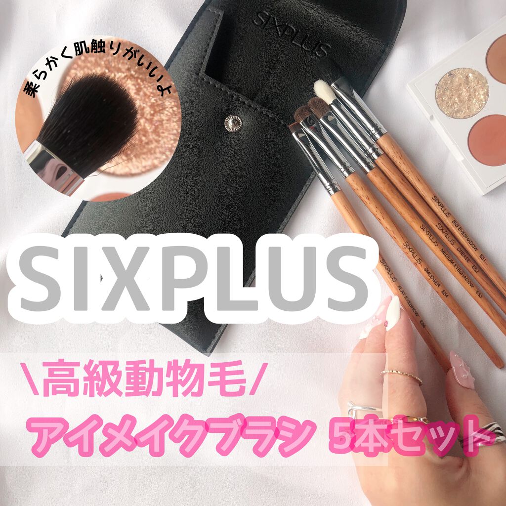 SIXPLUSアイメイクブラシ 5本セット高級動物毛 化粧ポーチ付き