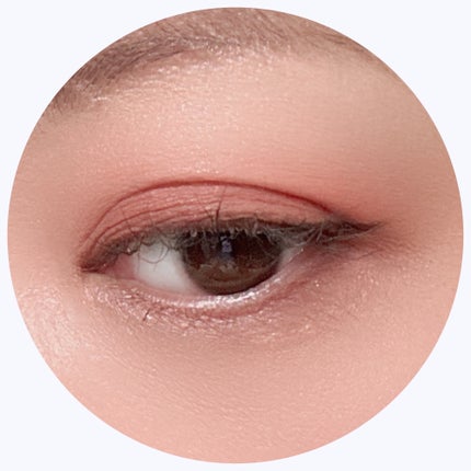 フォーチュン ドーリーフィール アイカラー/フォーチュン/アイシャドウパレットを使ったクチコミ(4枚目)