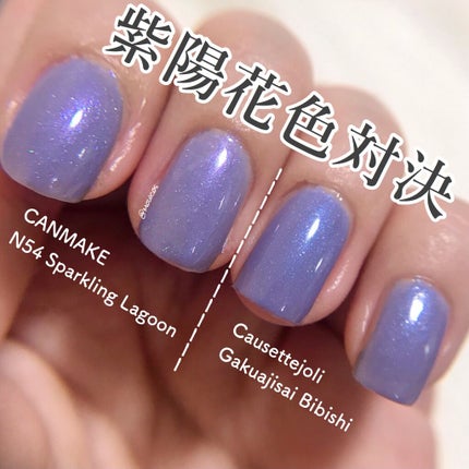 Coeur de Fleur Nail Color/Causette.Joli/マニキュアを使ったクチコミ(1枚目)