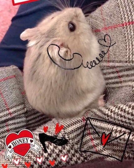 を使ったクチコミ(1枚目)