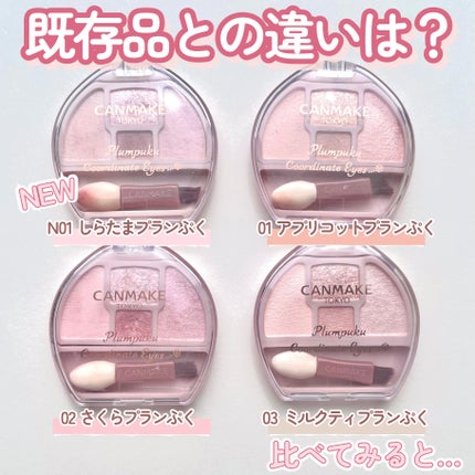 プランぷくコーデアイズ/キャンメイク/パウダーアイシャドウを使ったクチコミ(6枚目)