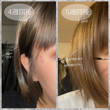 ぐぬー。 on LIPS 「色落ち経過1か月!/【ブルージュヘアの色落ち知りたくない?】髪..」(4枚目)