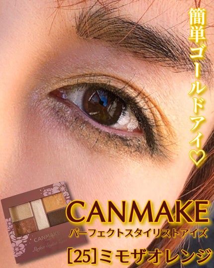 パーフェクトスタイリストアイズ/キャンメイク/アイシャドウパレットを使ったクチコミ(1枚目)