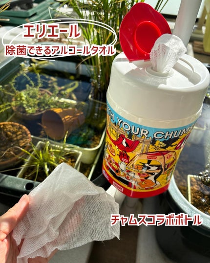 除菌できるアルコールタオル/エリエール/ティッシュを使ったクチコミ(1枚目)