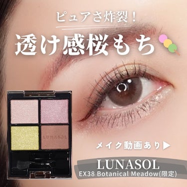 アイカラーレーション EX38 Botanical Meadow（限定発売）/LUNASOL/アイシャドウパレットを使ったクチコミ（1枚目）