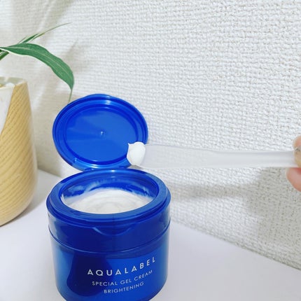 スペシャルジェルクリーム EX(モイスト)/アクアレーベル/オールインワン化粧品を使ったクチコミ(6枚目)