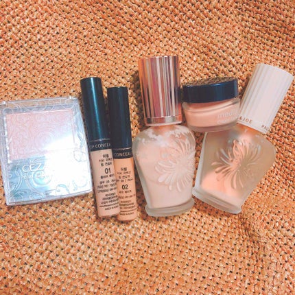 カバーパーフェクション チップコンシーラー/the SAEM/リキッドコンシーラーを使ったクチコミ(1枚目)