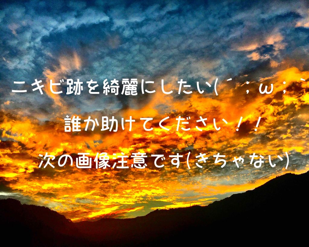 ハトムギ化粧水(ナチュリエ スキンコンディショナー R )/ナチュリエ/化粧水を使ったクチコミ（1枚目）