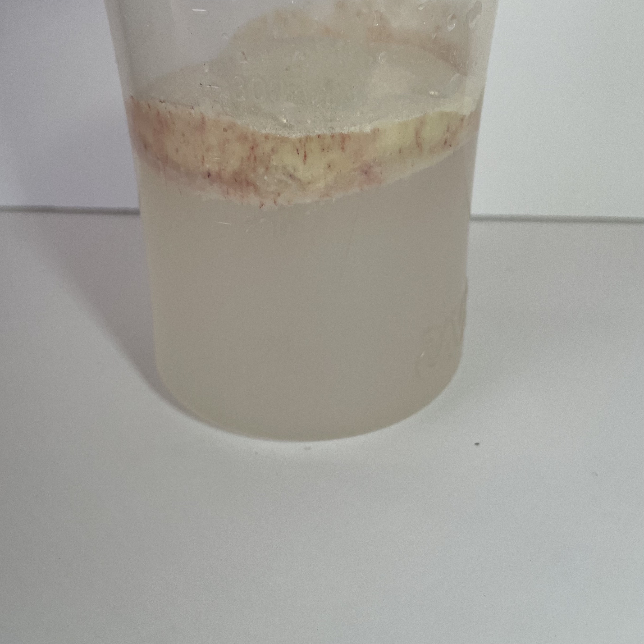 ALPRON アルプロン ホエイプロテイン100のクチコミ「めっちゃ美味いご褒美プロテイン！

ALPRON アルプロン ホエイプロテイン100

チョコ.....」（3枚目）