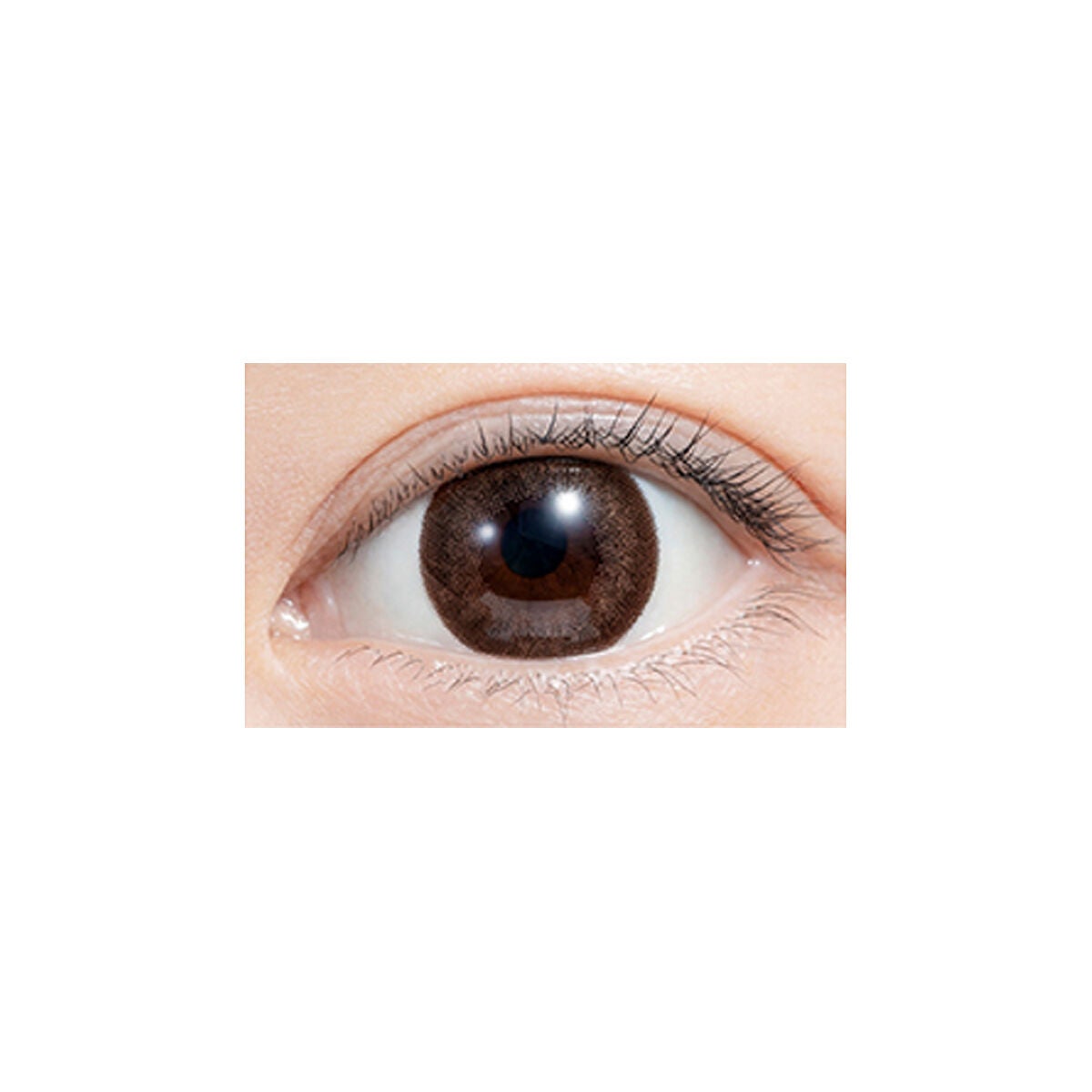 feliamo 1day エスプレッソ