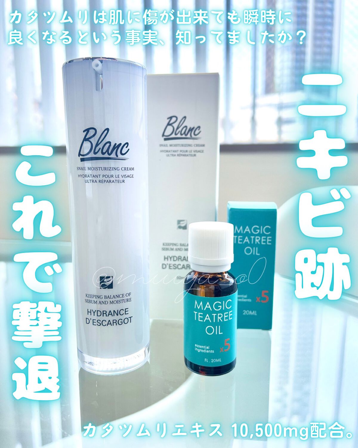 マジックティーツリーオイル/ブラン/フェイスオイルを使ったクチコミ（1枚目）