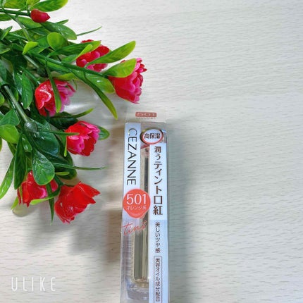 ラスティンググロスリップ/CEZANNE/口紅を使ったクチコミ(1枚目)