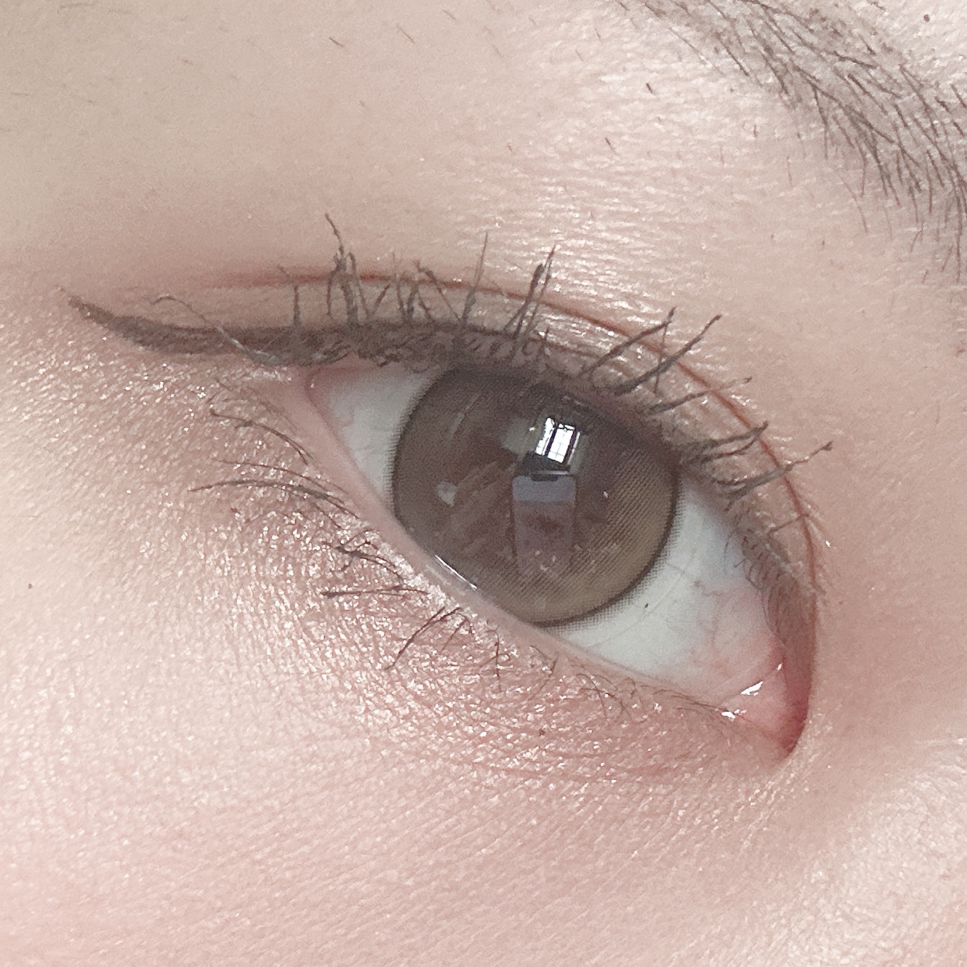 ニュアンス デューイ クリエイター/Visée/アイシャドウパレットを使ったクチコミ（2枚目）