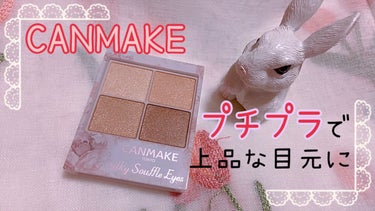 シルキースフレアイズ/キャンメイク/アイシャドウパレットを使ったクチコミ（1枚目）