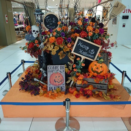 スキニーリッチライナー/excel/リキッドアイライナーを使ったクチコミ(1枚目)