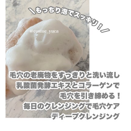 レッドラクトコラーゲンクレンジングオイル/MEDIPEEL/オイルクレンジングを使ったクチコミ(8枚目)