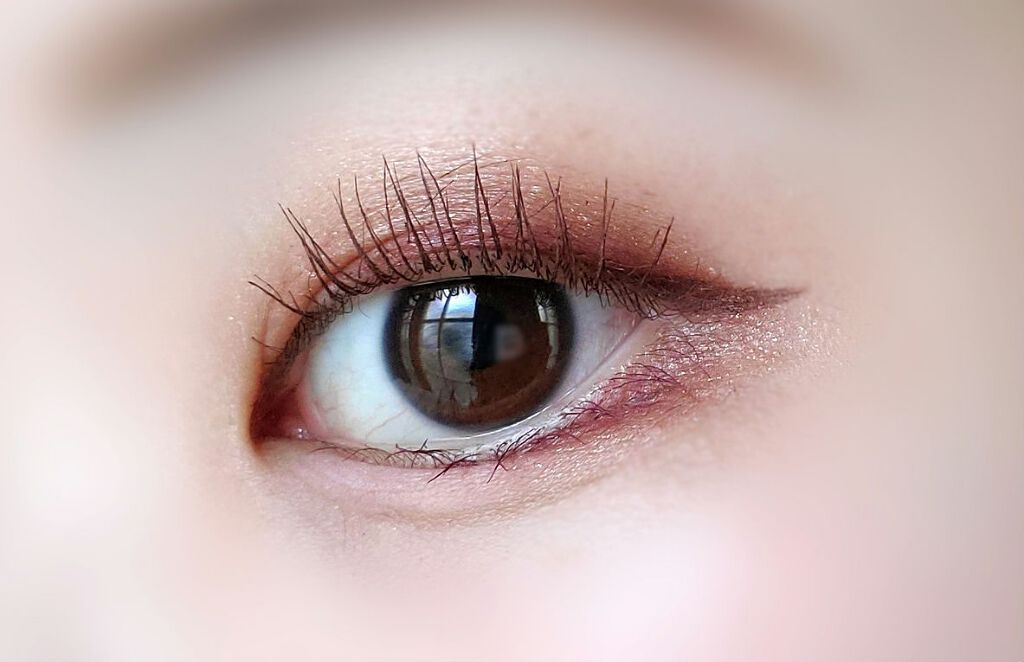 シナモン ベア メイクアップ コレクション/Too Faced/アイシャドウパレットを使ったクチコミ(3枚目)