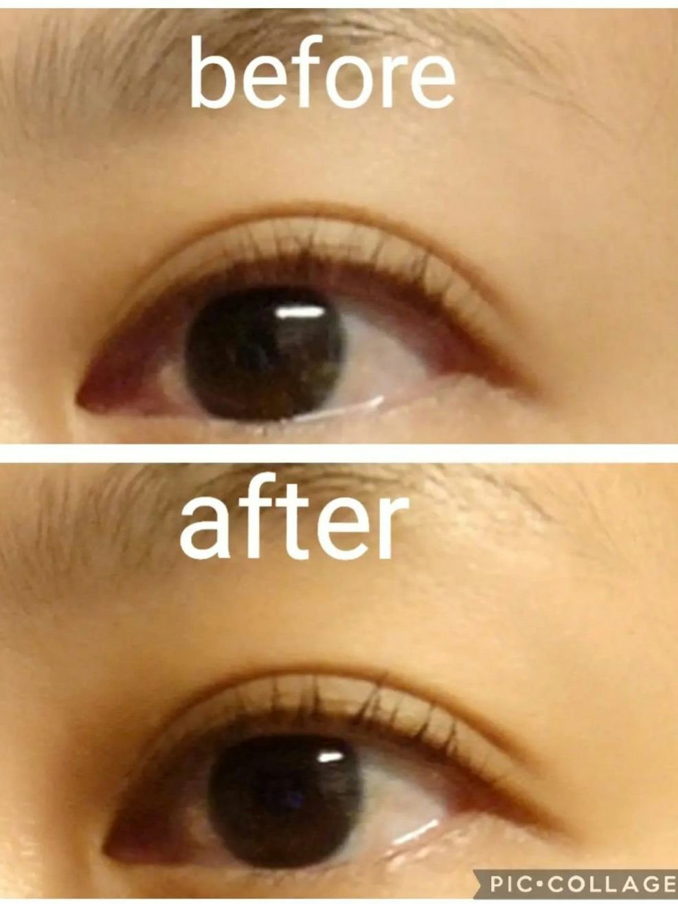 マジックティント/MAJOLICA MAJORCA/マスカラを使ったクチコミ（2枚目）