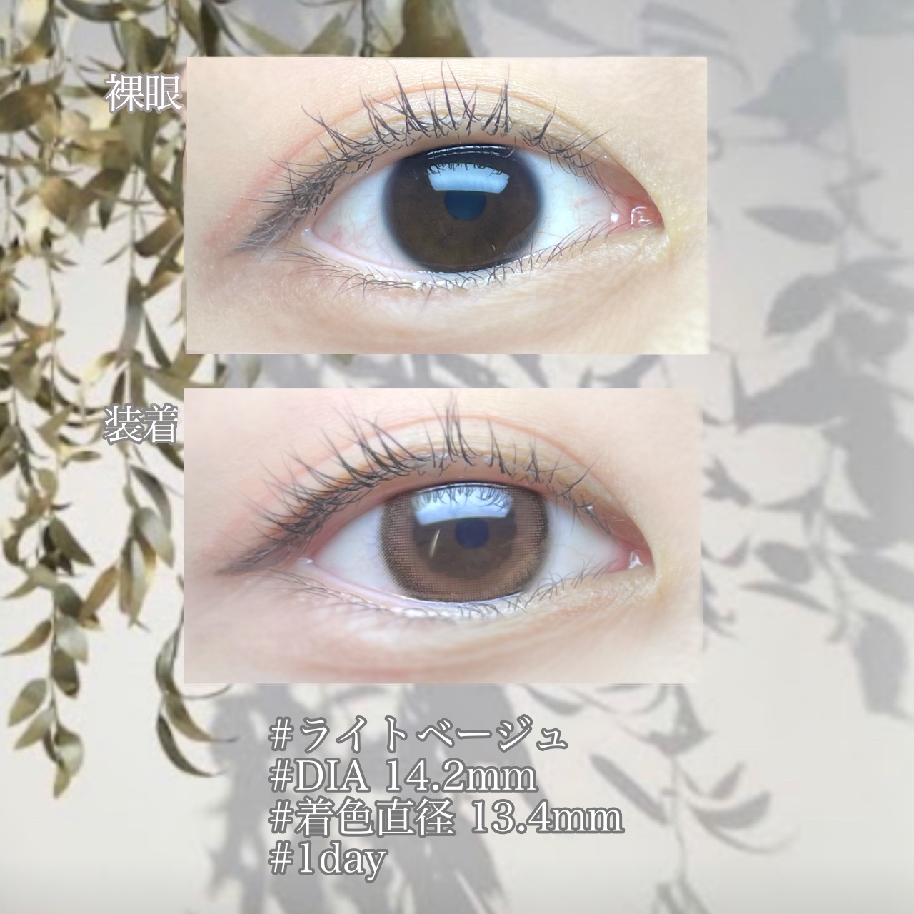 ワンデーリフレアビジュー/Refrear/ワンデー（１DAY）カラコンを使ったクチコミ（2枚目）