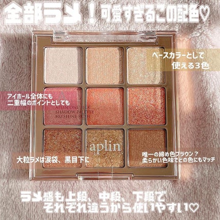 ワンピックアイシャドウパレット/APLIN/アイシャドウパレットを使ったクチコミ(2枚目)