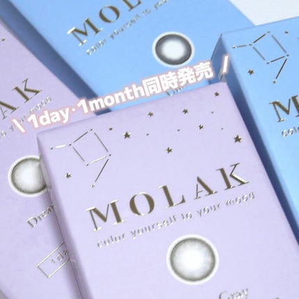 MOLAK 1day/MOLAK/ワンデー(1DAY)カラコンを使ったクチコミ(5枚目)