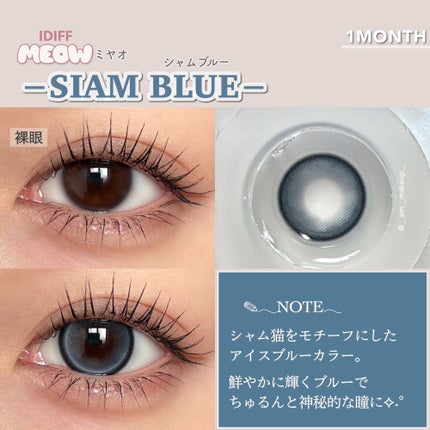 MEOW(ミヤオ) 1month/OLOLA/1ヶ月(1MONTH)カラコンを使ったクチコミ(5枚目)