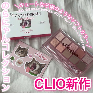 プロ アイ パレット/CLIO/アイシャドウパレットを使ったクチコミ（1枚目）