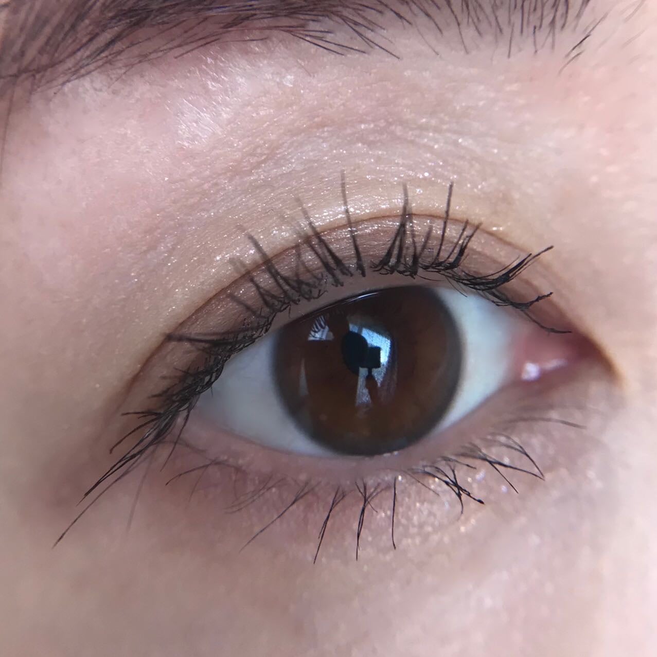 アイカラーレーション/LUNASOL/アイシャドウパレットを使ったクチコミ(6枚目)