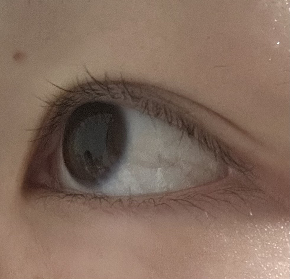 【旧品】パーフェクトスタイリストアイズ/キャンメイク/アイシャドウパレットを使ったクチコミ（3枚目）